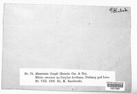 Image Associated With the Occurence